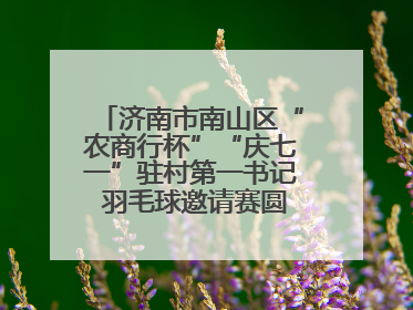 济南市南山区“农商行杯”“庆七一”驻村第一书记 羽毛球邀请赛圆满落幕